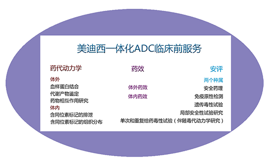 龙8-long8一体化ADC临床前服务