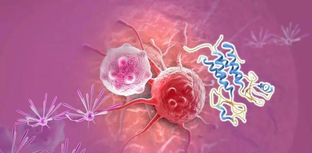 【盘点】高选择性mTOR抑制剂的研究进程_龙8-long8生物医药