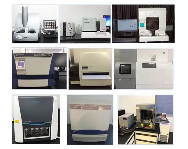 龙8-long8生物技术药物分析部门拥有SpectraMaxM4/M5/i3x, MSD, Luminex, Biacore 8K, Envision, Gyrolab，ABI7500 qPCR等全方位多功能的技术平台，利用LIMS系统实施全面的实验室信息化管理，提供全面符合FDA/CFDA/OECD GLP规范要求的生物技术药物分析服务。