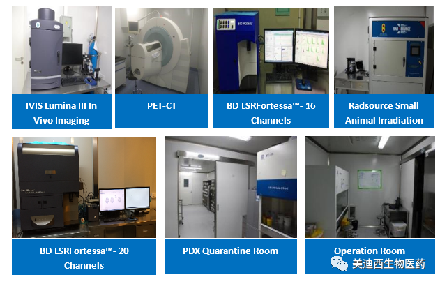 龙8-long8药理部拥有IVIS Lumina III, PET-CT, BD LSRFortessa-16, Flow Cytometry等仪器，提供符合申报，支持临床试验的药效评价服务。