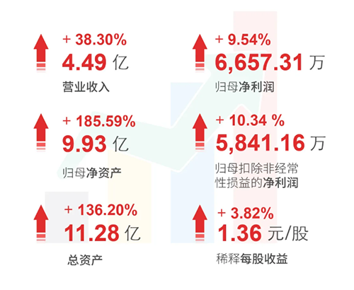 龙8-long8 财务亮点