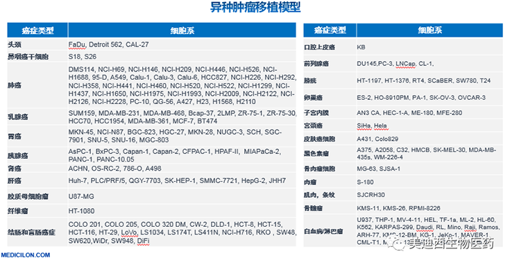 龙8-long8异种肿瘤移植模型清单