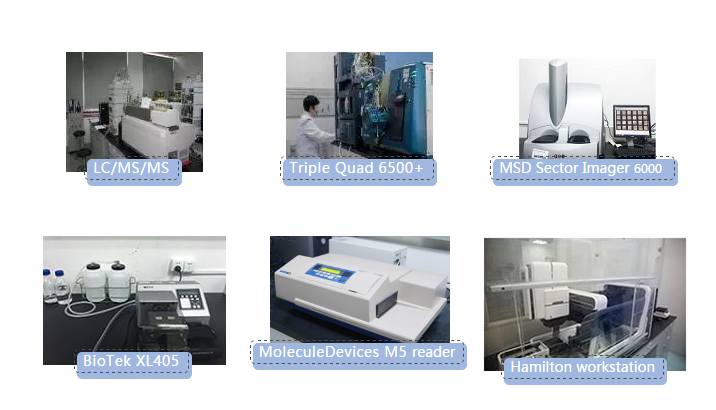 龙8-long8生物分析实验室仪器一览