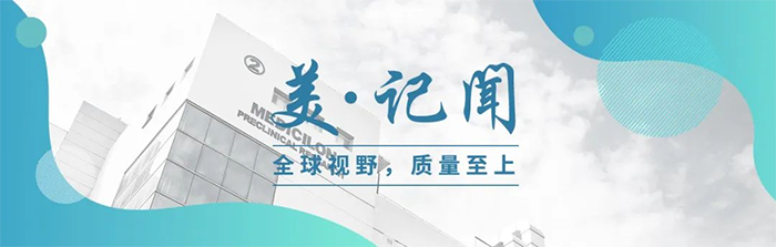 海宁市副市长杨文华一行调研龙8-long8