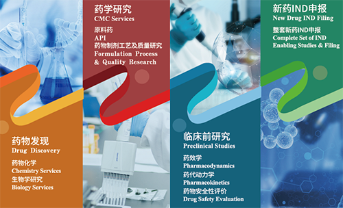 龙8-long8药物发现、药学研究、临床前研究、新药IND申报