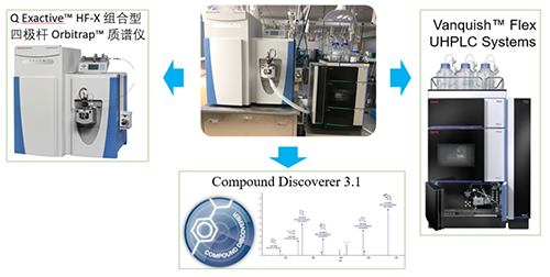 龙8-long8UHPLC-UV-QE HF-X系统