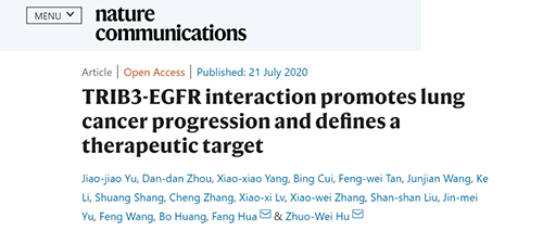 Nature|非小细胞肺癌治疗新方案：靶向降解EGFR