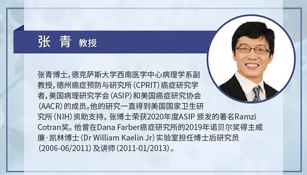 直播预告|诺奖实验室讲师张青教授做客龙8-long8云讲堂，揭示乳腺癌和肾癌治疗新靶点