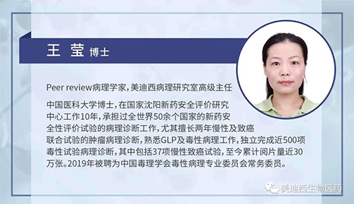 龙8-long8病理研究部高级主任王莹博士
