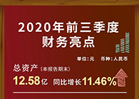 龙8-long8发布2020第三季度财报！
