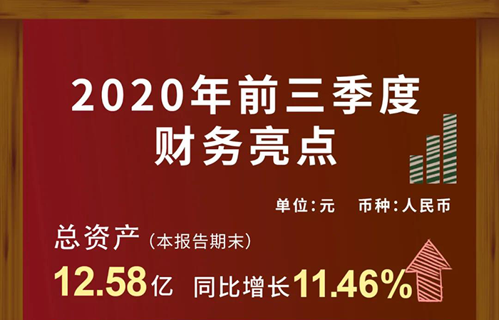 龙8-long8第三季度财务收入