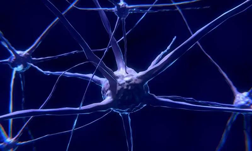 研究首次表明，与年龄有关的认知丧失可能主要是由一种可逆的生理性“阻滞”而不是永久性的降解引起的。