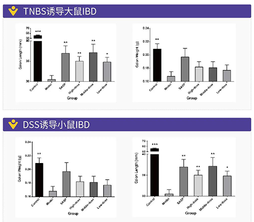 TNBS诱导的大鼠IBD、DSS诱导的大鼠IBD