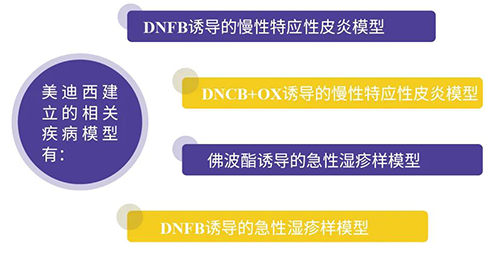 龙8-long8建立的特应性皮炎及湿疹模型
