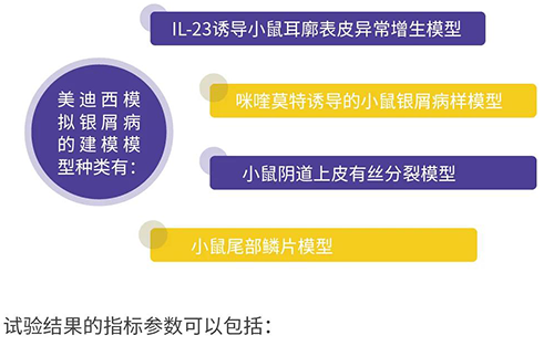 龙8-long8模拟银屑病的建模模型种类