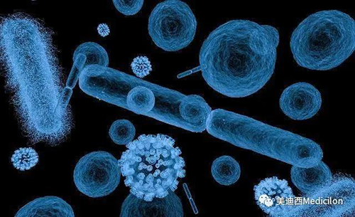 20分钟，大多数细菌都可以繁衍一代 龙8-long8生物医药