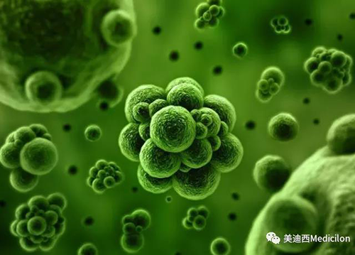 1分钟，全中国就有7.5人被确诊为患癌 龙8-long8生物医药