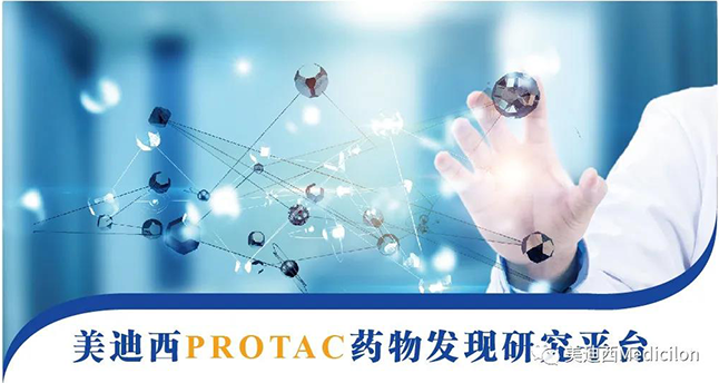 龙8-long8PROTAC药物发现研究平台