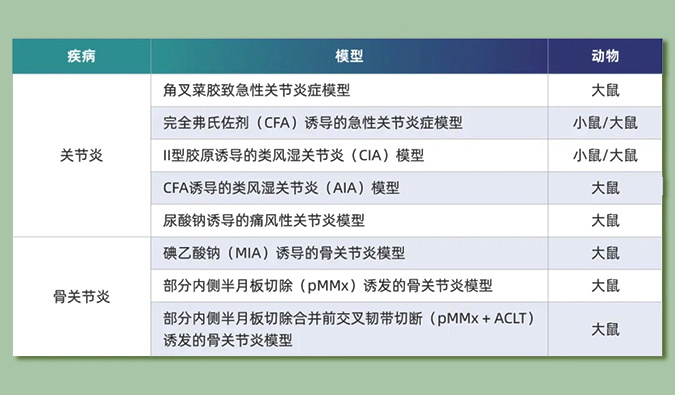 世界关节炎日：突破上亿人的共同难关，持续探索关节炎新药