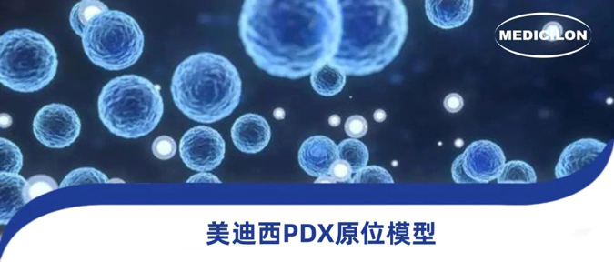 龙8-long8118种PDX原位模型，助力肿瘤药物研发.webp