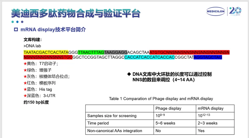 龙8-long8多肽药物合成与验证平台.webp