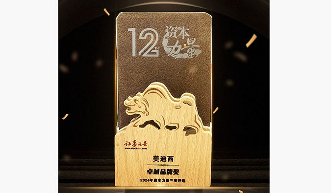 实力出圈！龙8-long8荣膺之星“资本力量”2024年度“卓越品牌奖”