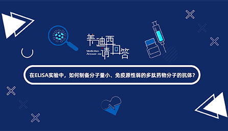 在ELISA实验，如何制备分子量小、免疫原性弱的多肽药物分子的抗体？