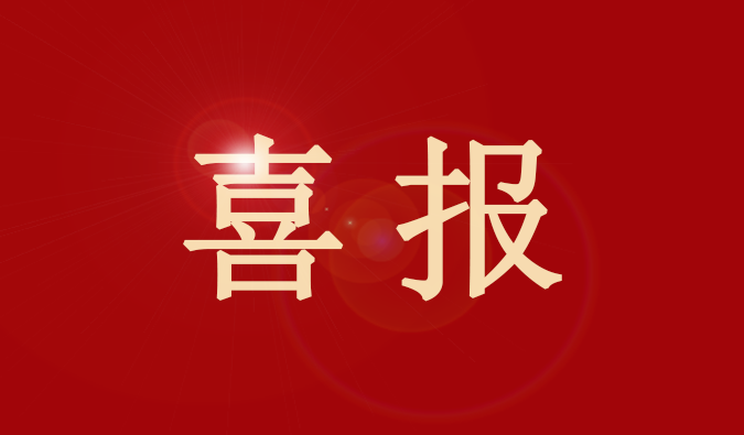 龙8-long8董事、董事会秘书王国林先生又获奖了！