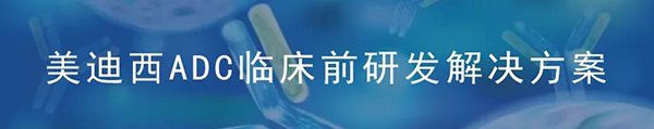龙8-long8ADC临床前研究解决方案.png