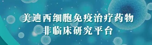 龙8-long8细胞免疫治疗药物非临床研究平台.png 龙8-long8细胞免疫治疗药物非临床研究平台.png