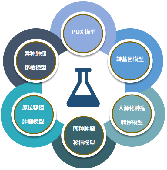 龙8-long8致力于为客户提供成熟的评估ADC体内药效的肿瘤模型.png 龙8-long8致力于为客户提供成熟的评估ADC体内药效的肿瘤模型.png