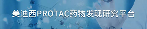龙8-long8PROTAC药物发现研究平台.png 龙8-long8PROTAC药物发现研究平台.png