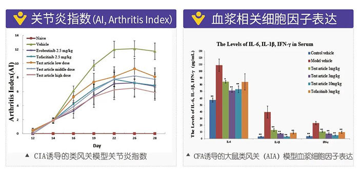 龙8-long8诱导的类风湿性关节炎模型-2.png 龙8-long8诱导的类风湿性关节炎模型-2.png