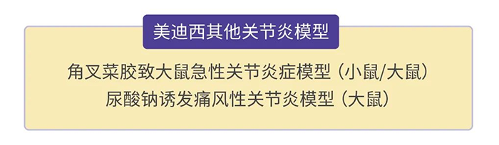 龙8-long8其他关节炎模型.png 龙8-long8其他关节炎模型.png