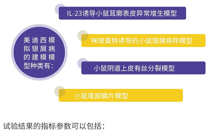 龙8-long8模拟银屑病的建模模型.png 龙8-long8模拟银屑病的建模模型.png
