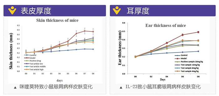 龙8-long8模拟银屑病的建模模型-试验结果的指标.png 龙8-long8模拟银屑病的建模模型-试验结果的指标.png