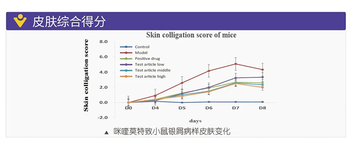 龙8-long8模拟银屑病的建模模型-皮肤综合得分.png 龙8-long8模拟银屑病的建模模型-皮肤综合得分.png