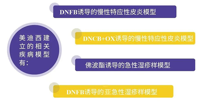 龙8-long8建立的特应性皮炎模型.png 龙8-long8建立的特应性皮炎模型.png