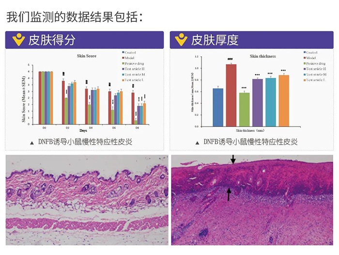 龙8-long8监测的数据结果.png 龙8-long8监测的数据结果.png