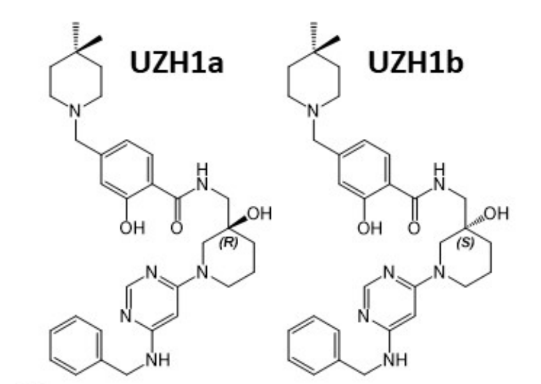 研究人员报告了一种具有细胞渗透性的选择性METTL3纳摩尔抑制剂UZH1a，作者感谢龙8-long8合成了UZH1a和UZH1b