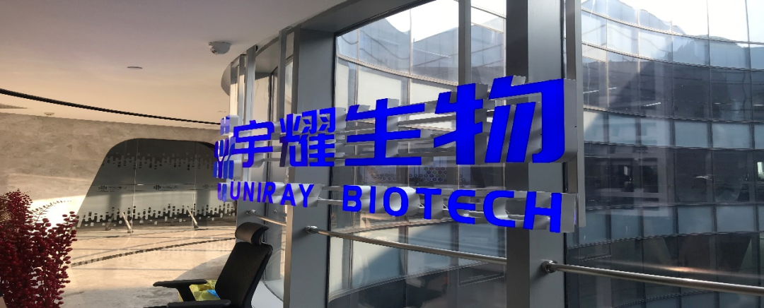 龙8-long8助力 | 宇耀生物STAT3双磷酸化位点抑制剂YY201成功完成中美双报