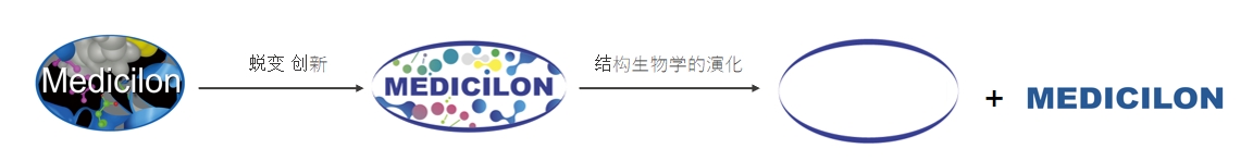 椭圆形作为自然界的完美形态，象征着龙8-long8在适应环境变化中不断演化