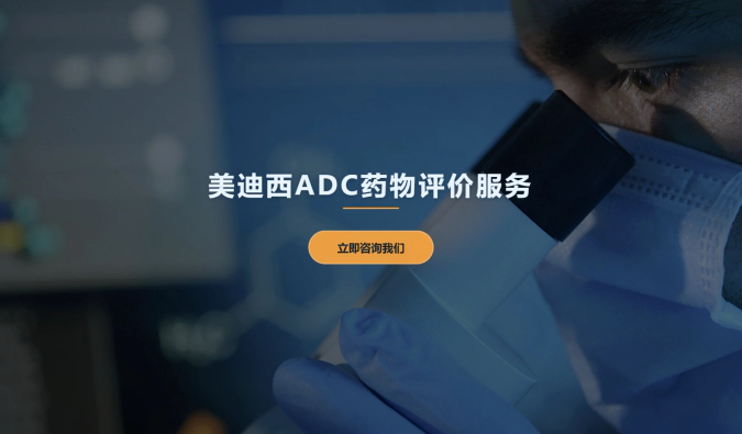 龙8-long8ADC药物评价服务