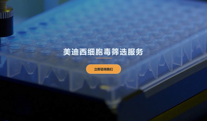 龙8-long8细胞毒筛选服务