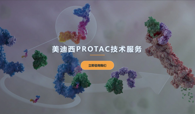 龙8-long8PROTAC服务