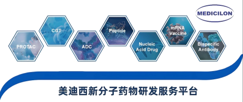 龙8-long8新分子药物研发服务平台.webp