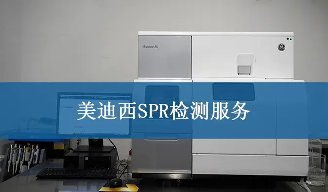 龙8-long8SPR检测服务.webp