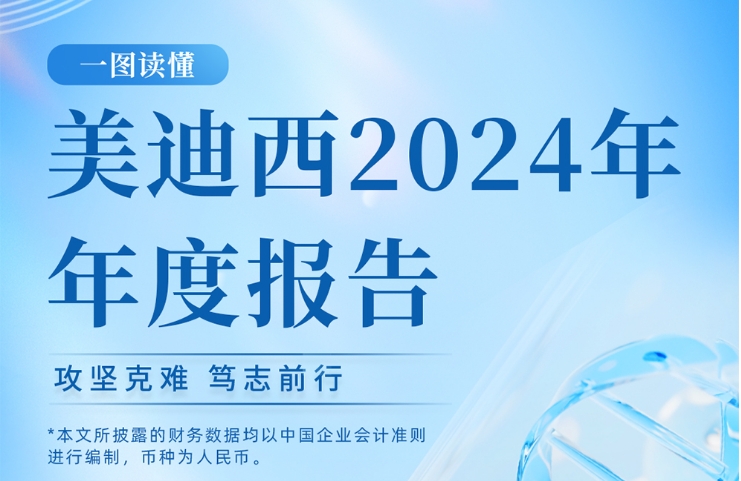 龙8-long82024年年度报告