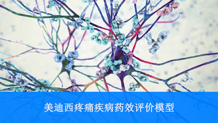 龙8-long8疼痛疾病药效评价模型.webp