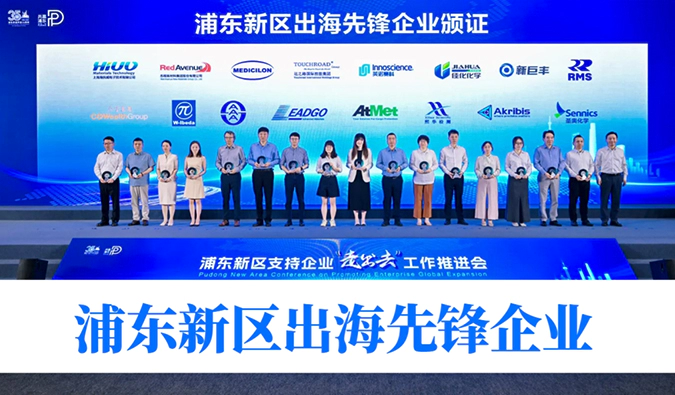 全球化服务获认证！龙8-long8获评浦东新区首批“出海先锋企业”